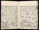 Volume II, Page 24