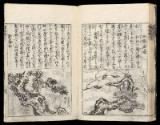 Volume II, Page 29