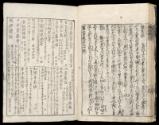 Volume II, Page 31