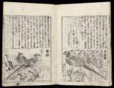 Volume III, Page 5