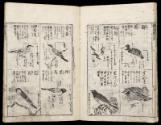 Volume III, Page 9