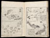 Volume III, Page 22