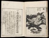 Volume III, Page 24