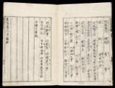 Volume VI, Page 2