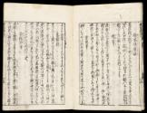 Volume VI, Page 5