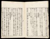 Volume VI, Page 8