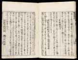 Volume VI, Page 10