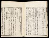 Volume VI, Page 17