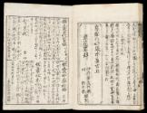 Volume VI, Page 19