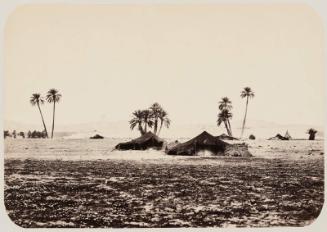 Arab Camp in the Algerian Sahara