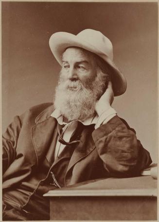 Walt Whitman, Brooklyn