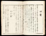 Volume I, Page 13