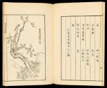 Volume I, Page 7