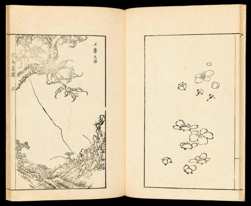 Volume I, Page 8