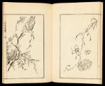 Volume I, Page 9