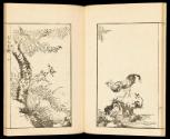 Volume I, Page 10