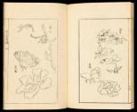 Volume I, Page 26