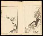 Volume II, Page 4