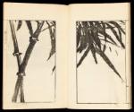 Volume II, Page 6