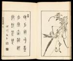 Volume II, Page 9