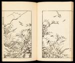 Volume II, Page 20