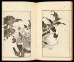 Volume II, Page 23