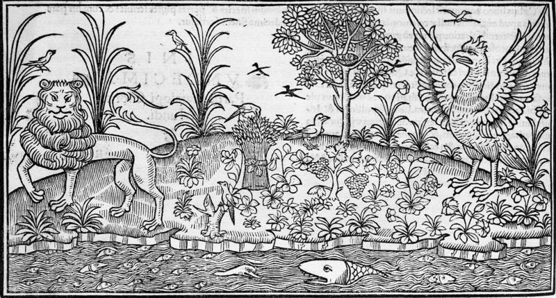 Landscape with Lion