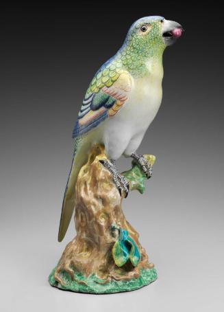 Figure of a Parrot