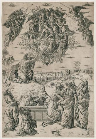 The Assumption of the Virgin