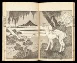 Volume II, Page 22