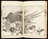 Volume II, Page 11