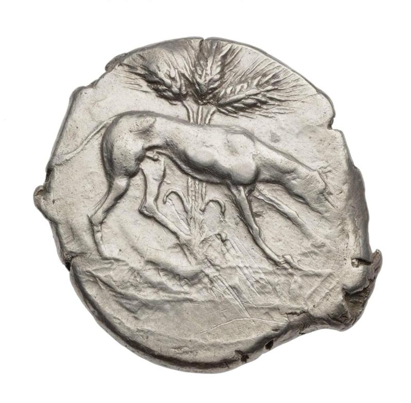 Didrachm of Segesta with hound