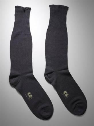 Pair of man's socks