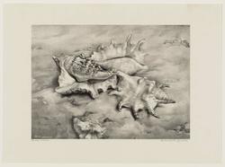 The Three Shells (De drie schelpen)