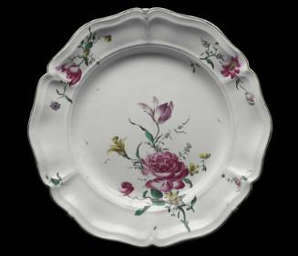 Dish