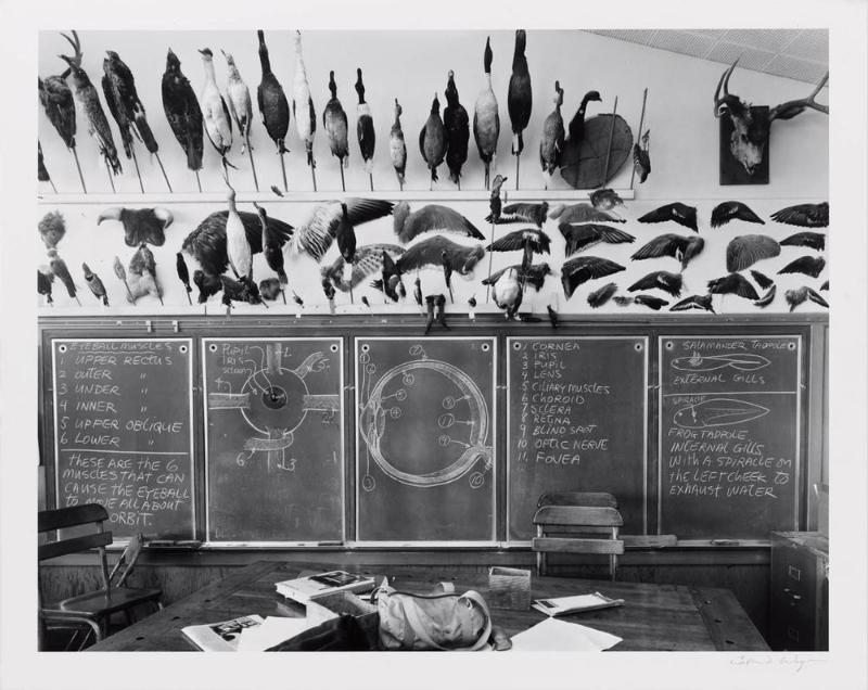 Moss Landing Elementary School, 7th and 8th Grade Science Room, Moss Landing , CA, from the American Classroom series