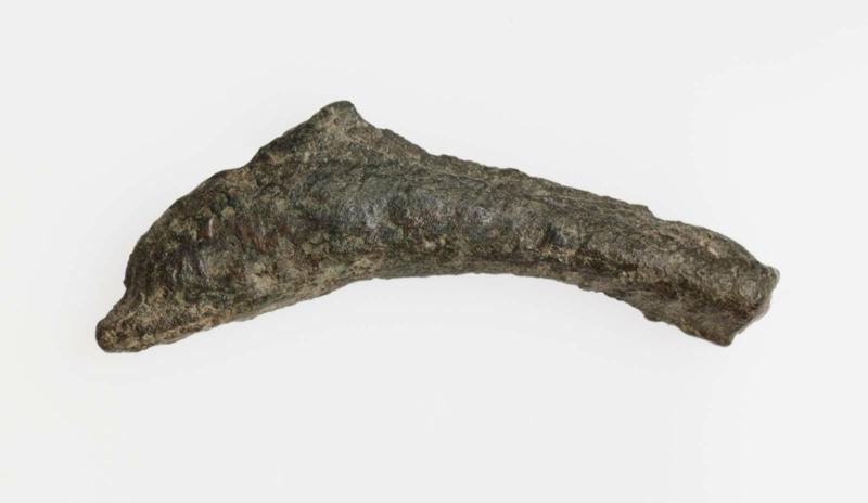 Coin of Olbia in shape of dolphin
