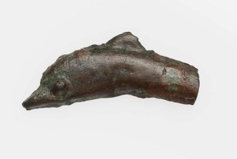 Coin of Olbia in shape of dolphin