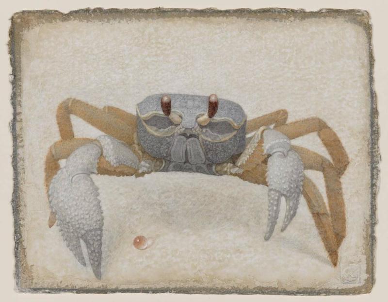 Crab