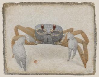 Crab