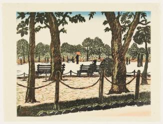 Park Benches and Trees