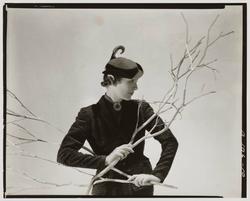 Model with Branches
