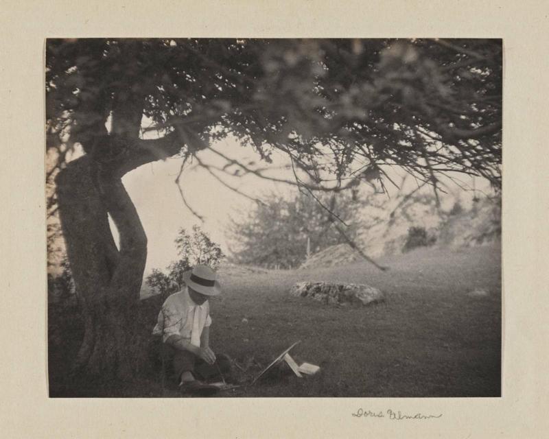 Sketching Under a Tree