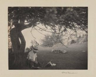 Sketching Under a Tree