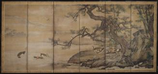 Ducks Under Pine Trees