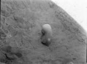 K III, Lady Sennuwy emerging,  13-12-371 (MFA 14.720), towards W