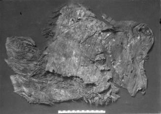 Rug cloth and leather (large pieces) S 14-3-362 (=MFA 20.1493a-c)