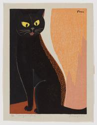 Cat by Fire-place