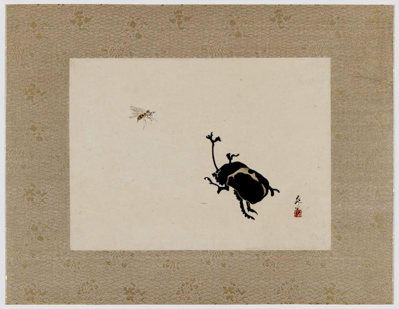 A Horned Beetle and a Yellow Jacket
