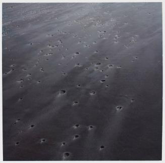 Horseneck Beach